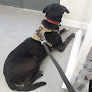 Negocio Centro Veterinario Cardona