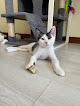 Tres Cantos 1 Negocio Centro Veterinario Daktari