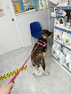 Negocio Centro Veterinario Doc