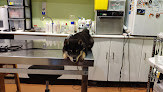 Cdad. Lineal 5 Negocio Centro Veterinario Don Canito