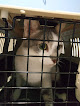 Negocio Centro Veterinario El Olfato