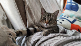 Hortaleza 3 Negocio Centro Veterinario El Refugio