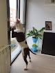 Negocio Centro Veterinario Eurocan El Cantizal