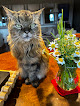 Negocio Centro Veterinario Eurovillas