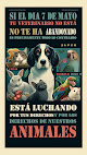 Cdad. Lineal 10 Negocio Centro Veterinario García Noblejas