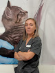 Meco 2 Negocio Centro Veterinario Henares (meco)