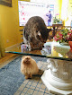 Negocio Centro Veterinario Kissy