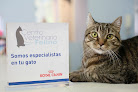 Negocio Centro Veterinario Kliper Barajas Madrid