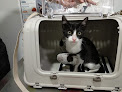 Negocio Centro Veterinario Las Canteras