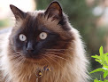 Alcorcón 9 Negocio Centro Veterinario Lisboa Slp