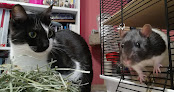 Negocio Centro Veterinario Madrid Exóticos