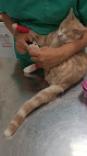 Negocio Centro Veterinario Madrivet Vallehermoso