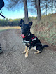Negocio Centro Veterinario Mordiscos