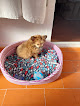 Negocio Centro Veterinario TÍscar