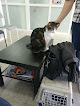 Negocio Centro Veterinario Valdemoro