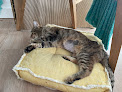 Negocio ClÍnica Veterinaria Las Rozas Zarcovet