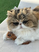 Negocio Clinica Veterinaria Angora