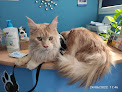 Tetuán 10 Negocio Clínica Veterinaria Animansión