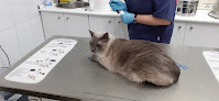 Negocio Clinica Veterinaria Arco Iris