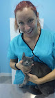 Negocio Clinica Veterinaria Arroyomolinos - Animal Laser
