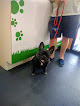 Negocio Clínica Veterinaria Bichicos Barajas