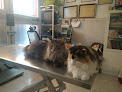 Negocio Clínica Veterinaria Can Iii