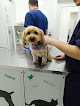Negocio Clínica Veterinaria Caramuel