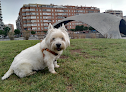 Negocio Clínica Veterinaria Casa De Campo