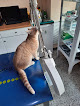 Negocio Clínica Veterinaria Caservet Acacias (anterior Pucan)