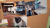 Negocio Clínica Veterinaria Caservet Arganzuela