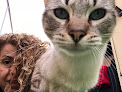 Negocio Clinica Veterinaria Colores