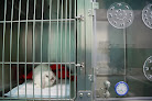 Negocio Clínica Veterinaria Coslada