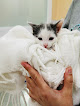 Negocio Clínica Veterinaria Dcontreras En Vallecas