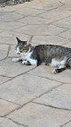 Negocio Clinica Veterinaria Dr Eugenio Cabezas