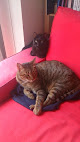 Negocio Clínica Veterinaria Ecovet Vallecas Villa