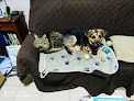 Negocio Clinica Veterinaria El Parque