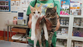Negocio Clínica Veterinaria El Restón