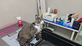 Negocio Clínica Veterinaria El Torreón