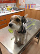 Negocio Clínica Veterinaria Fuentelarreina