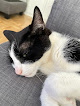 Negocio Clínica Veterinaria Gabriel Usera