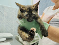 Negocio Clínica Veterinaria Getafe Norte (grupo Peñagrande)
