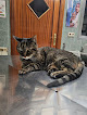 Negocio Clínica Veterinaria Getafe