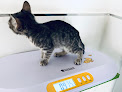 Negocio Clínica Veterinaria Griñonvet