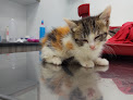Negocio Clinica Veterinaria Hospi Rivas