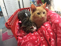 Móstoles 8 Negocio Clínica Veterinaria Huellas