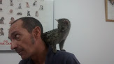 Negocio Clínica Veterinaria La Cabrera