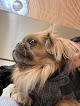 San Blas-Canillejas 21 Negocio Clínica Veterinaria La Peineta