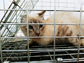 Negocio Clínica Veterinaria Las Mascotas De Tania