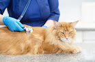 Móstoles 11 Negocio Clínica Veterinaria Las Nieves