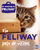 Negocio Clínica Veterinaria Liderveterinaria